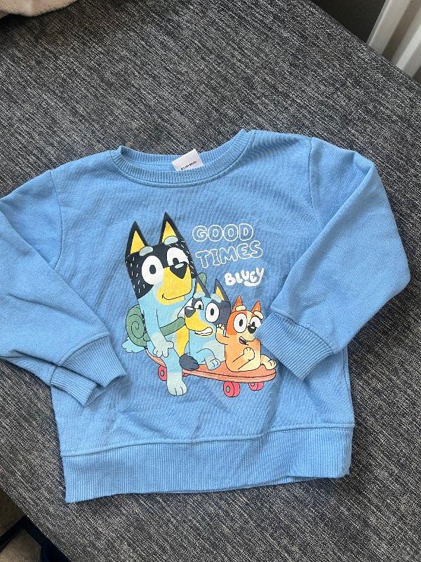 Bluey peysa