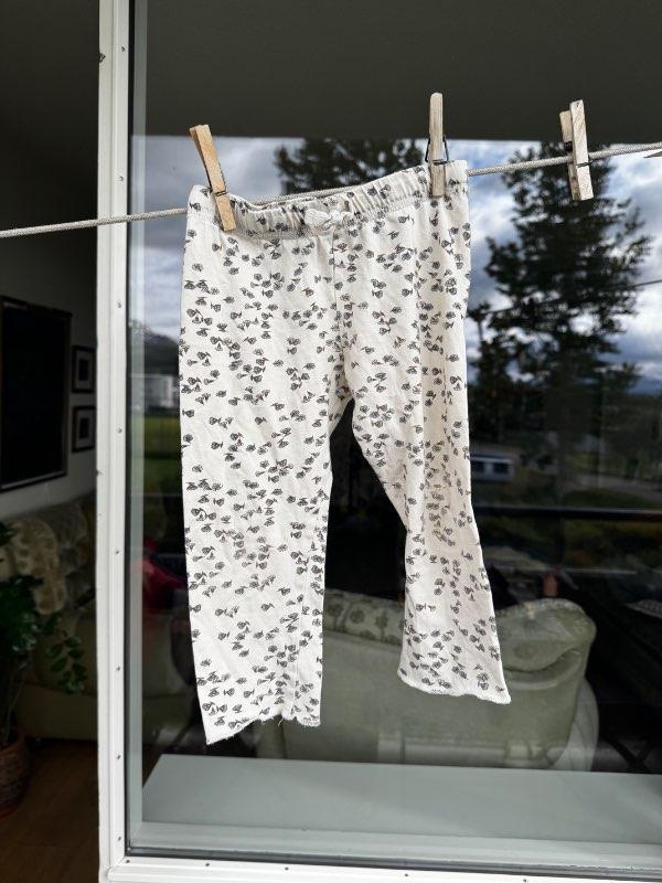Buxur kongens hvítar m blómum