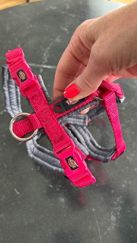 Hundaól fyrir lítinn hund