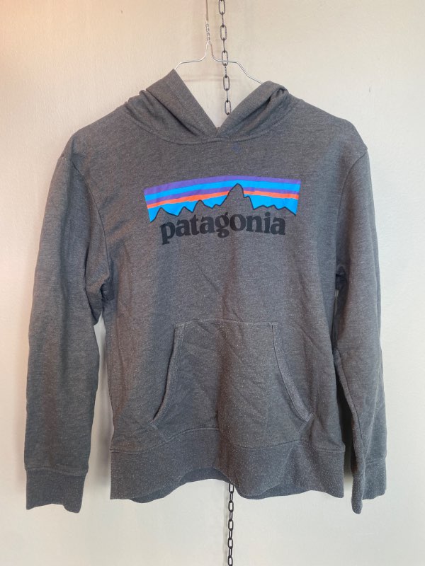 Patagonia grey Hoodie