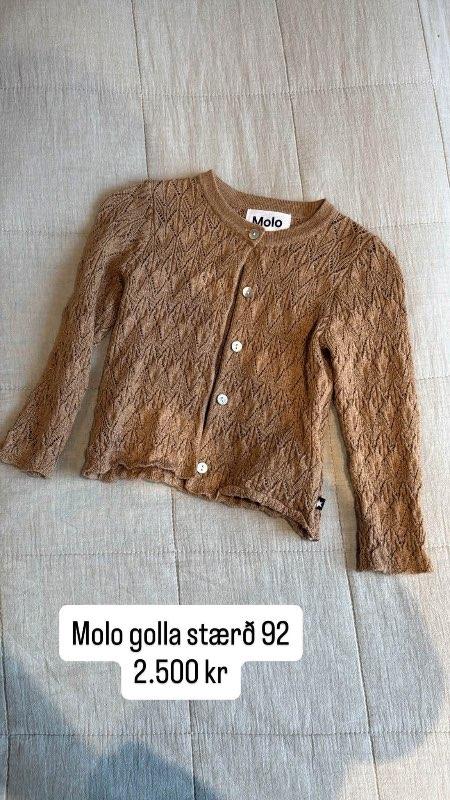 Molo brún golla