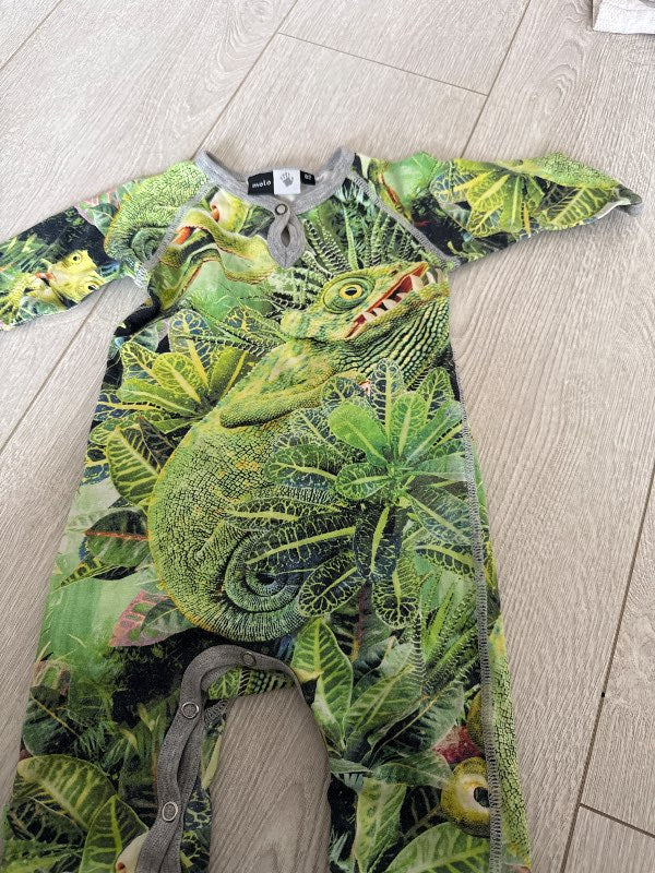 Molo eðlugalli