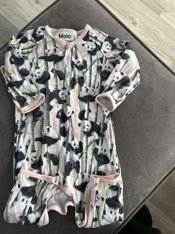 Molo panda björn galli