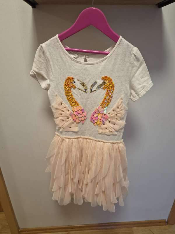 Monsoon flamingo