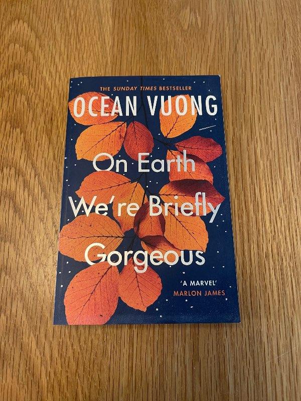On Earth We’re Briefly Gorgeous