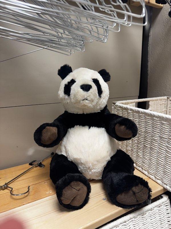 Panda bangsi