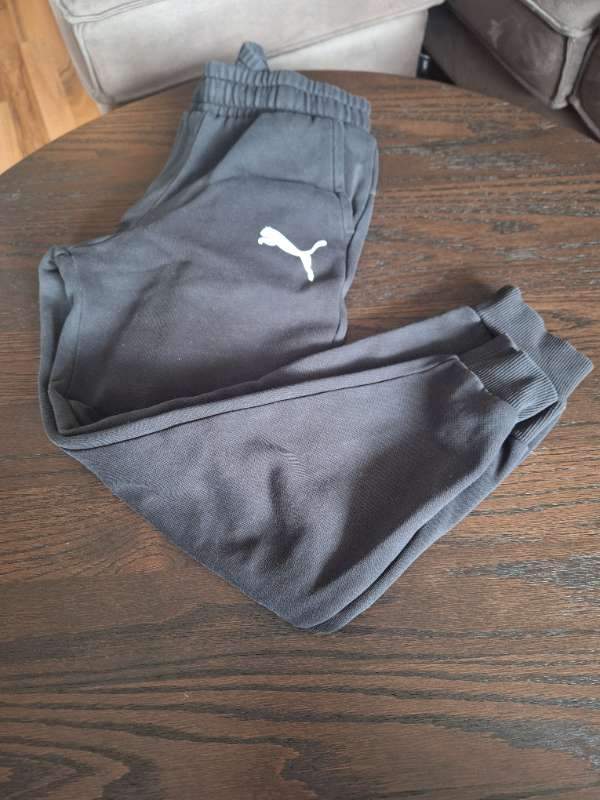 Puma jogging