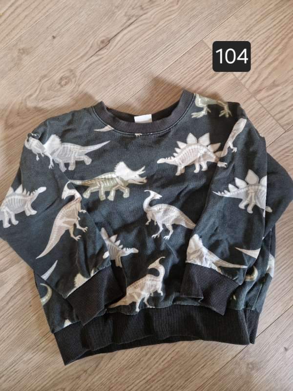 Risaeðlupeysa