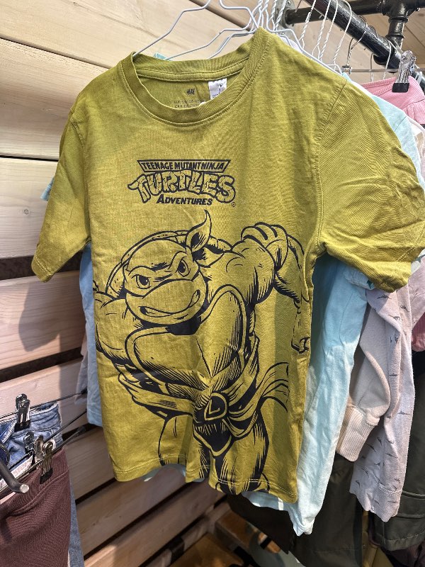 Turtles bolur grænn