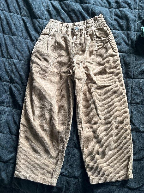 Zara velvet pants