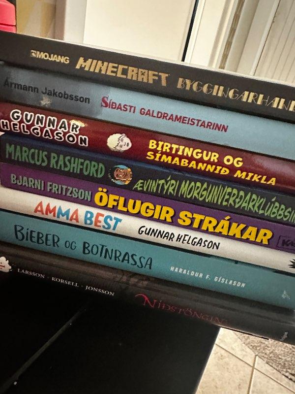 Barna/unglingabækur eldri(nýlegar)