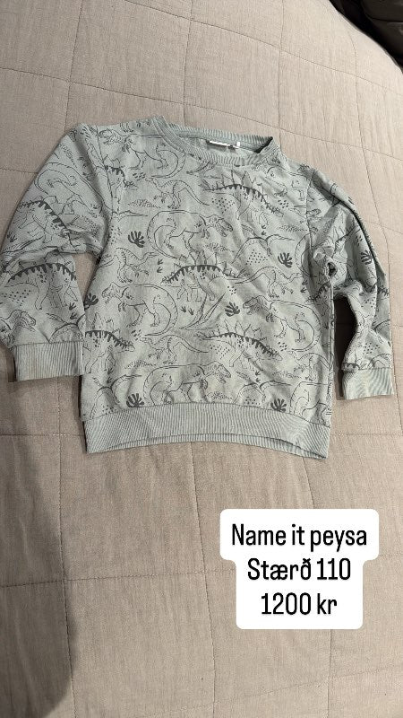 110 name it peysa