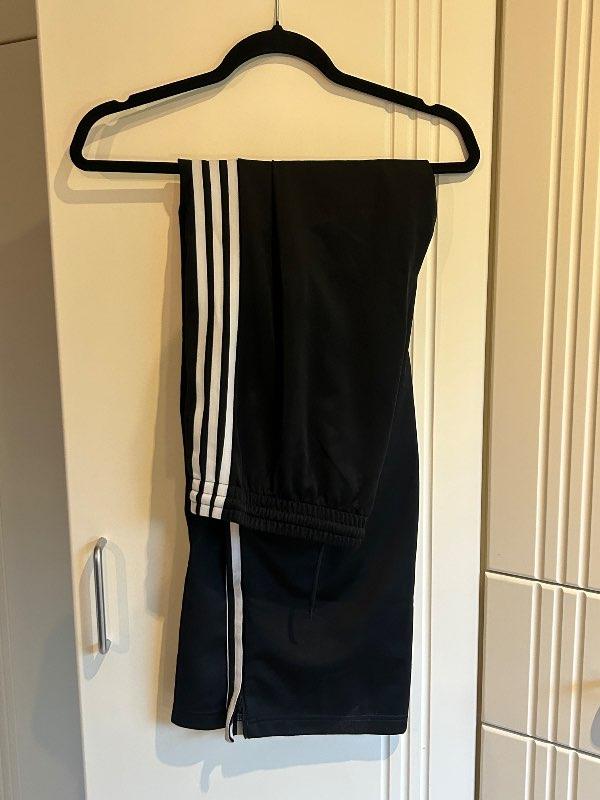 Adidas buxur