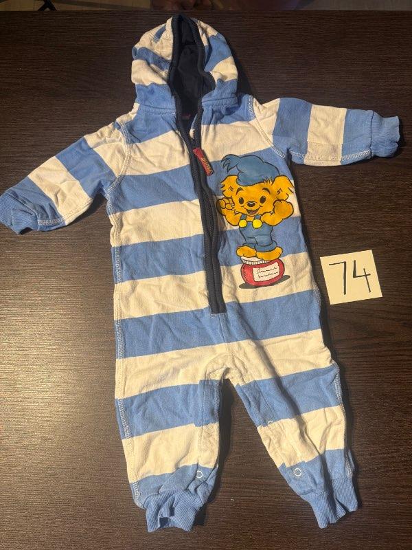 Bamse galli