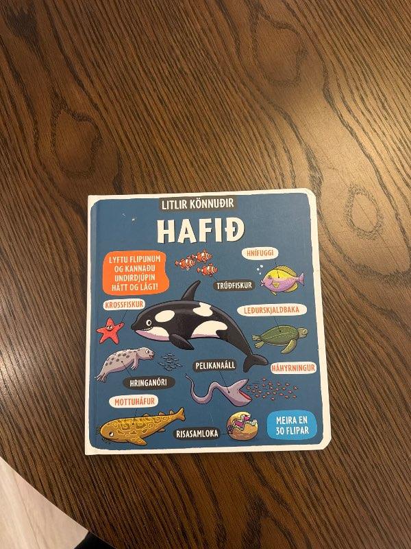 Bók hafið