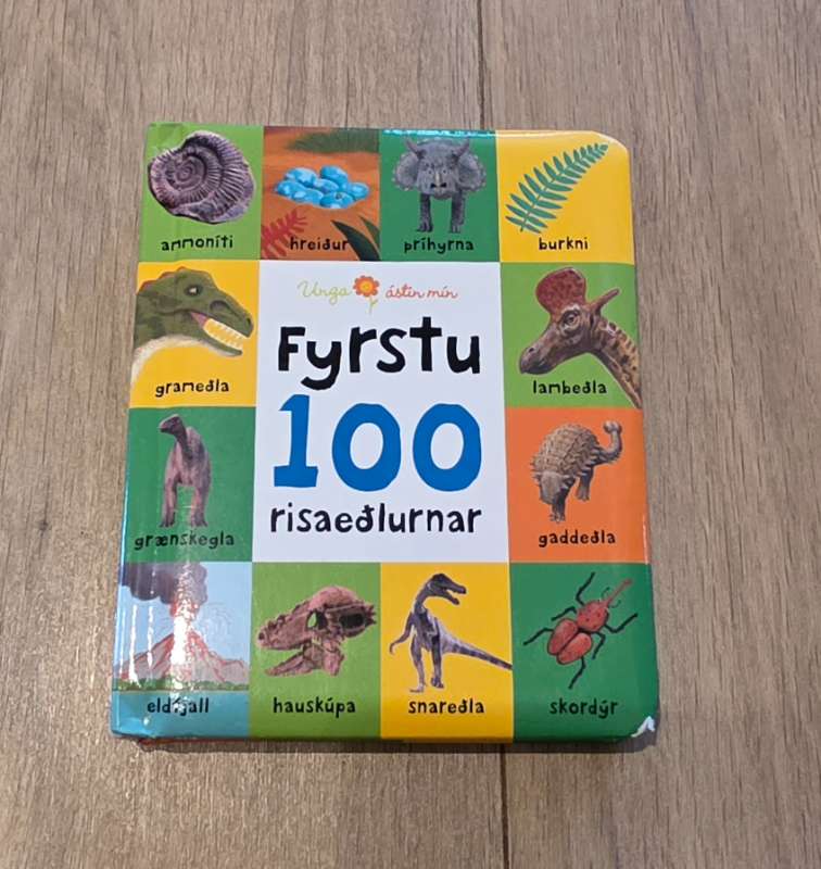 Bók risaeðlur