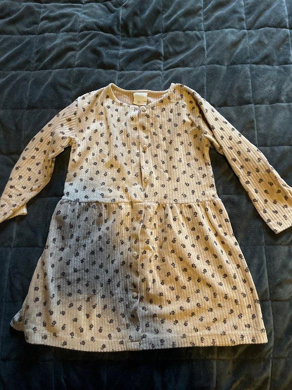 Brown Zara dreas