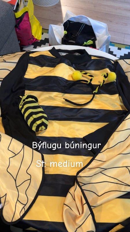 Býflugubúningur