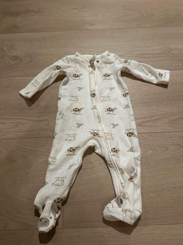 Carters heilgalli