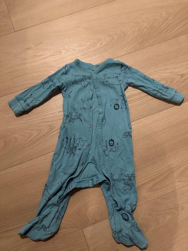 Carters heilgalli