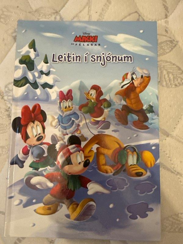 Leitin i snjónum