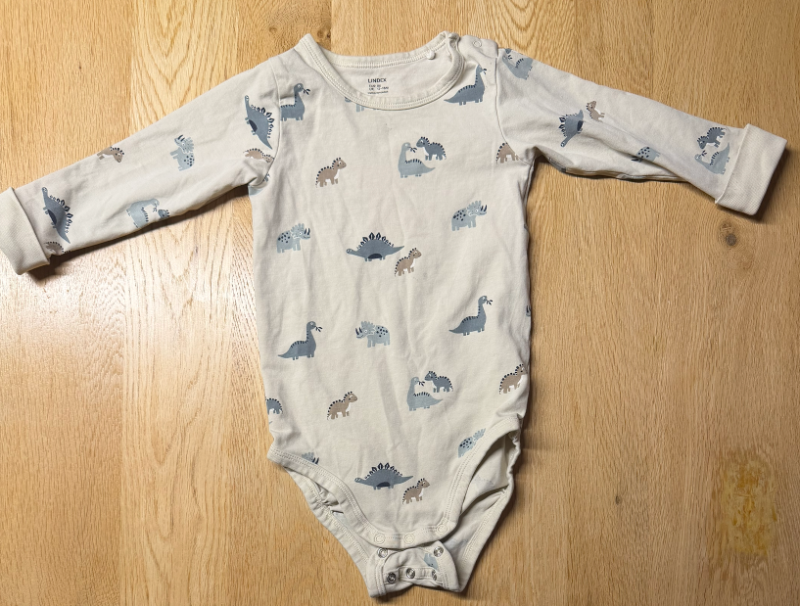 Lindex risaeðlusamfella