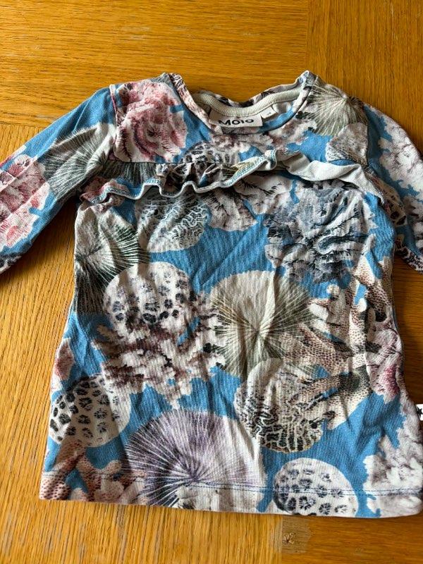 Molo coral bolur 98