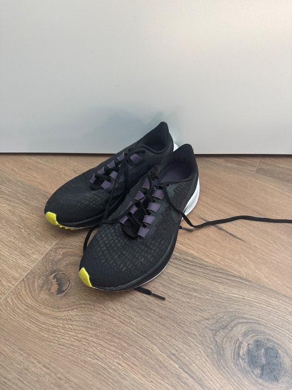 Nike pegasus