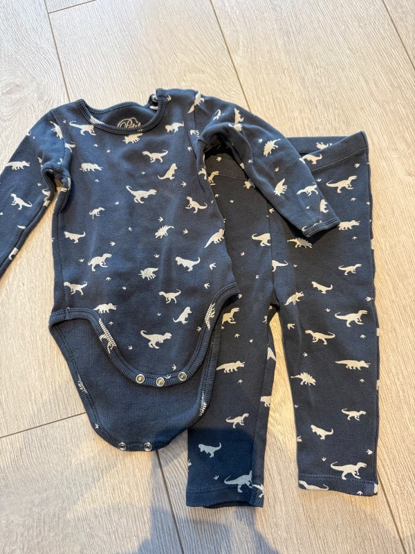 Petit sett blátt risaeðlu