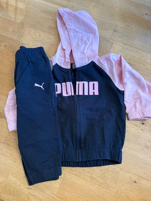 Puma sett