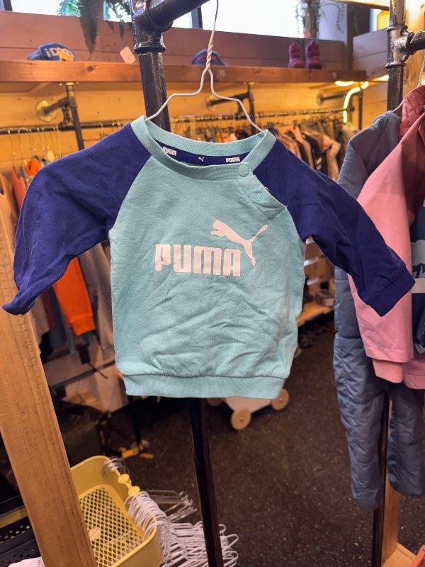 Puma sett