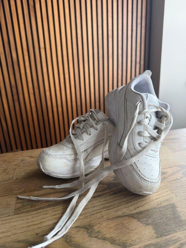 Puma skór