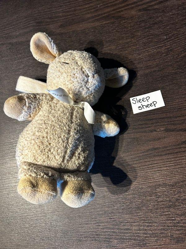 Sleep sheep