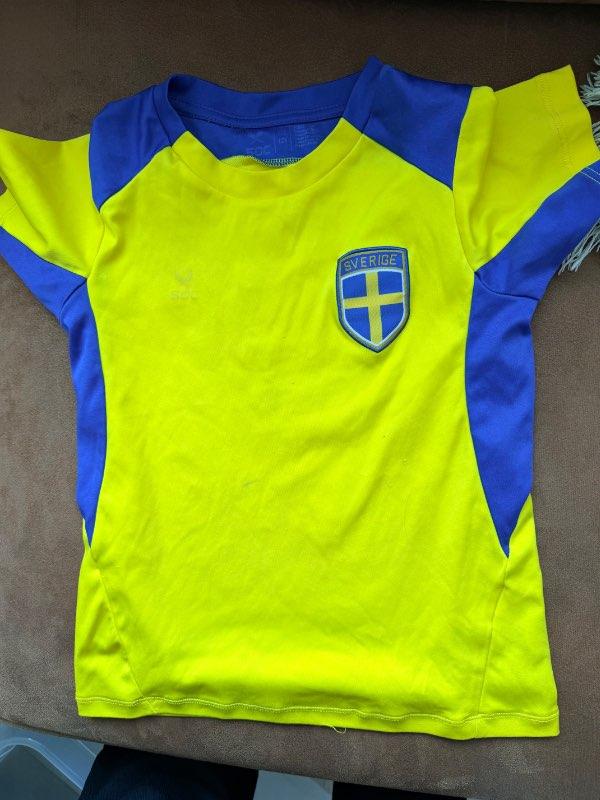 Svíþjóð búningur