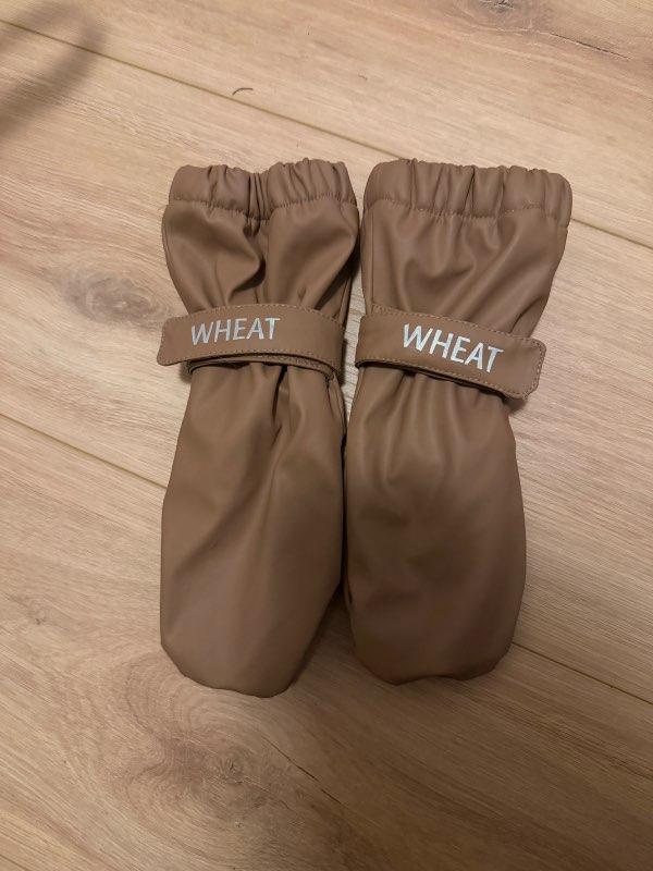 Wheat pollavettlingar