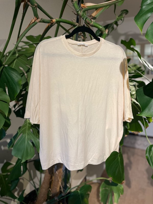 ZARA new T-shirt ||G