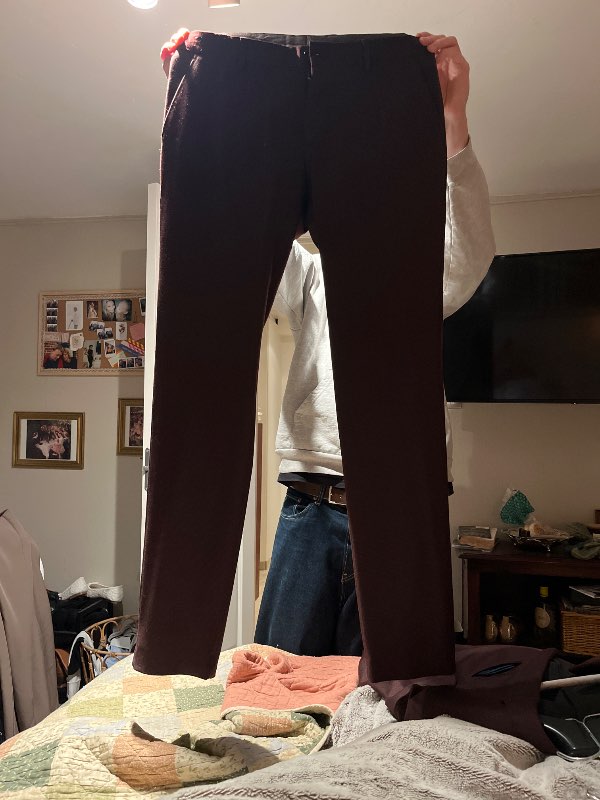 burgundy suit pants