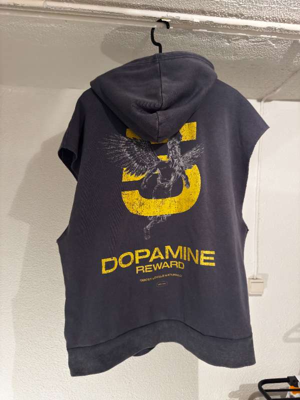 gym vest