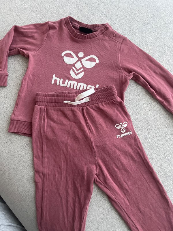 Hummel galli